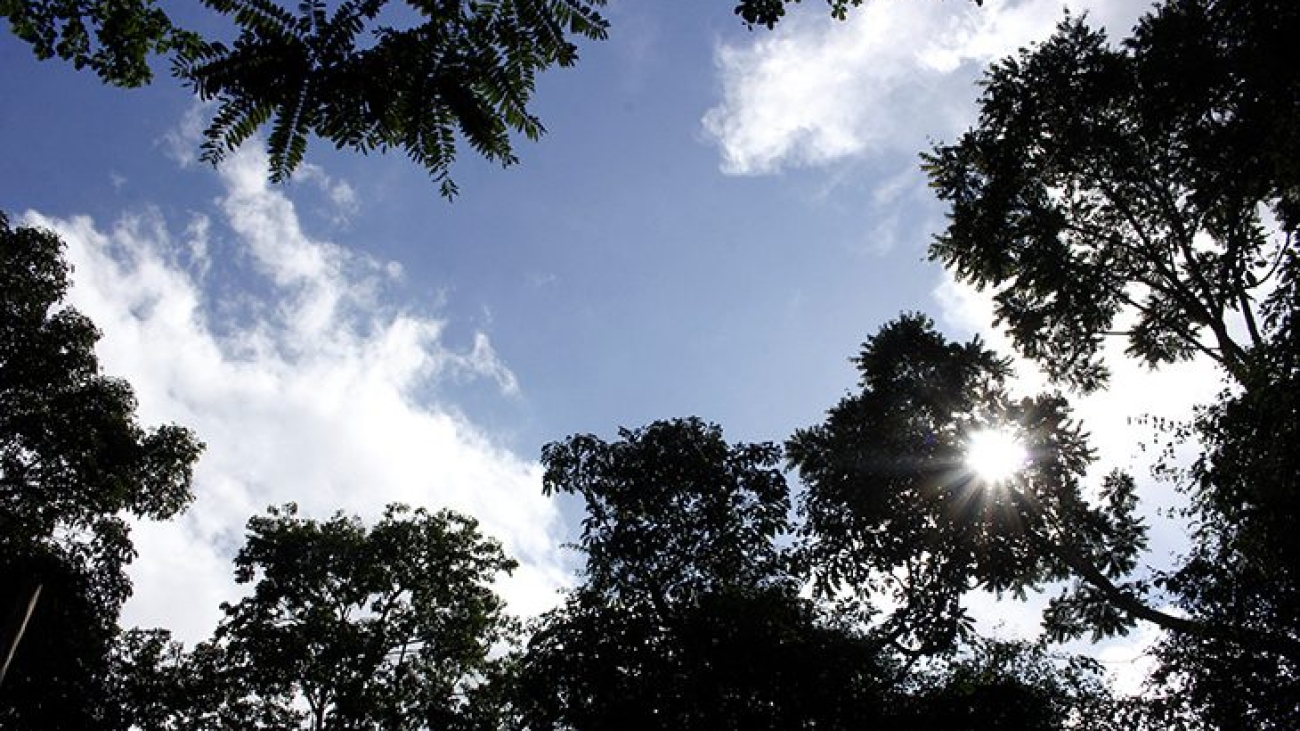Tempo-Clima-Fto-Chico-Ribeiro-1-730x425