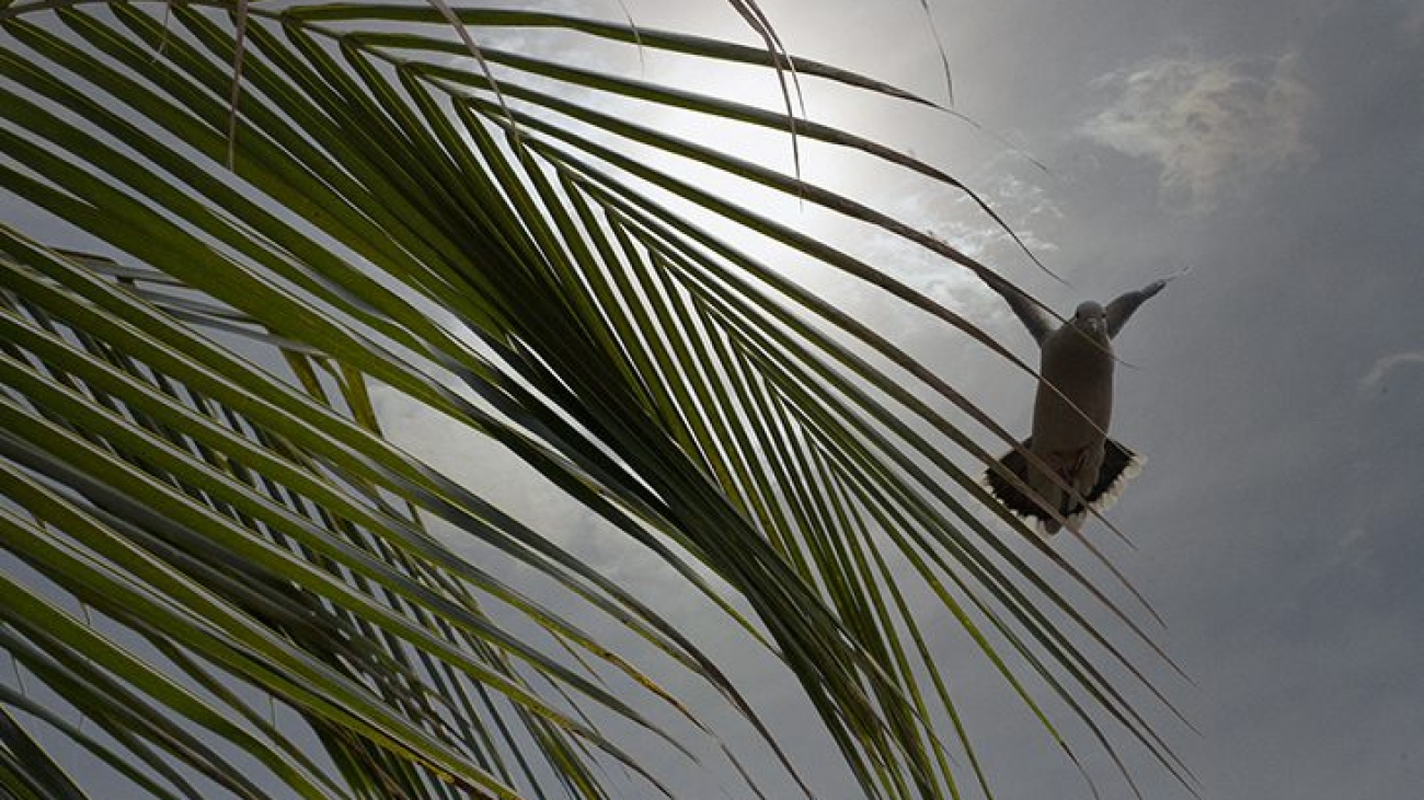Tempo-Foto-Edemir-Rodrigues-730x425