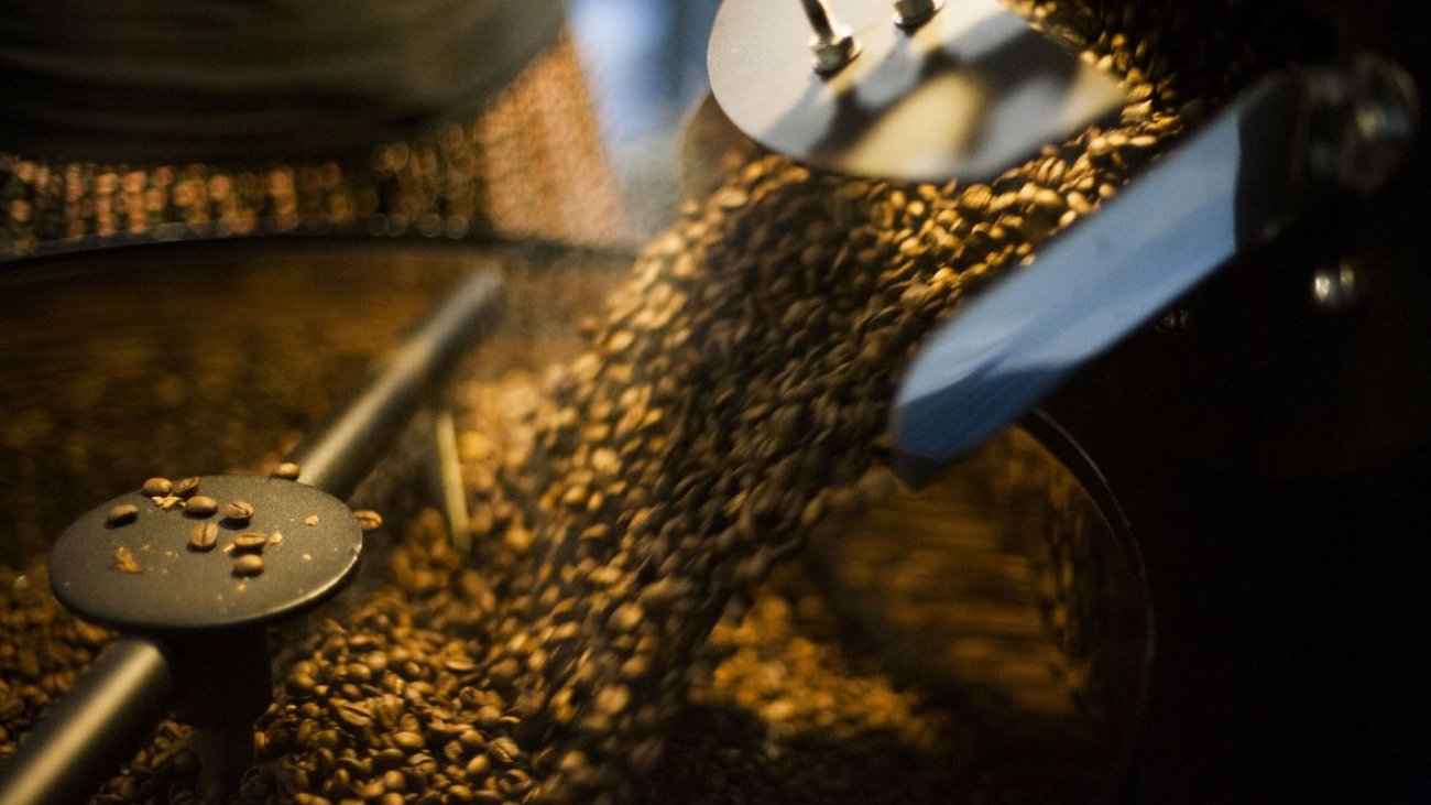 Pequenas torrefações preparam grãos especiais de café