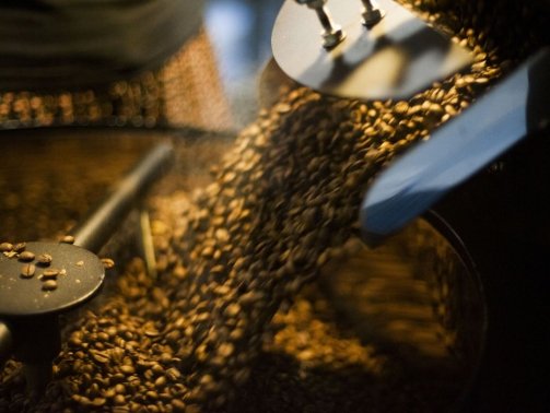 Pequenas torrefações preparam grãos especiais de café