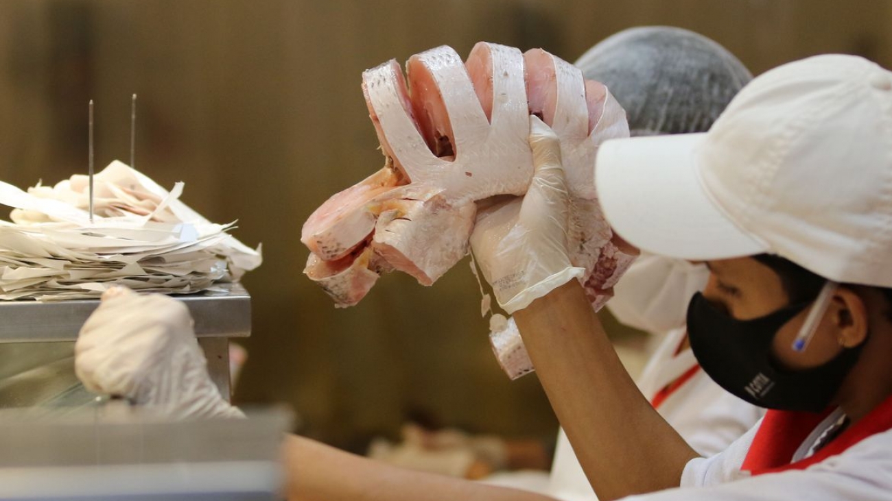 Comércio de peixes e pescados para a Semana Santa