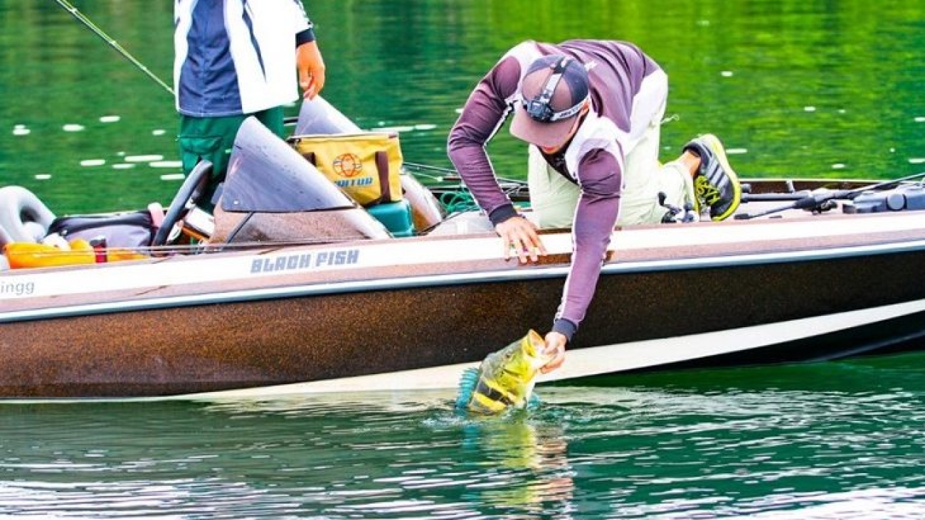 tres-lagoas_festival-de-pesca_capa-1024x566-1-730x425