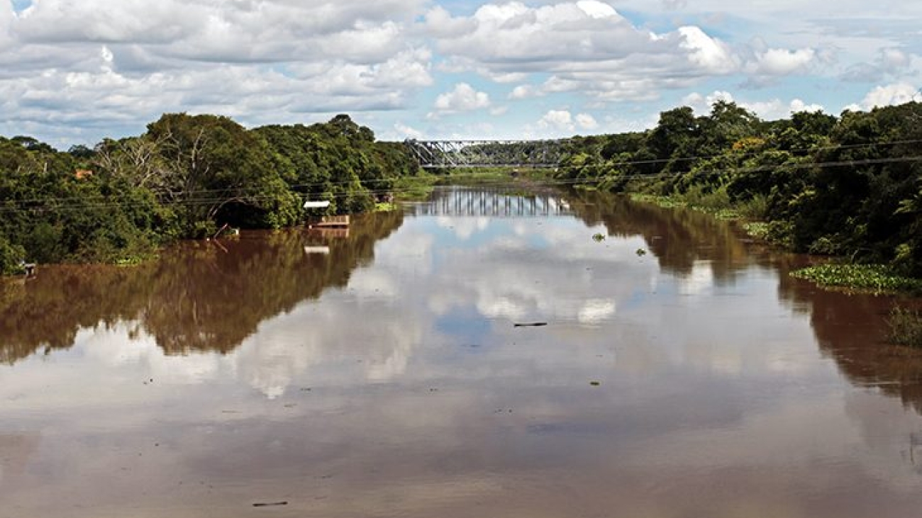 Rio-Miranda-Foto-Saul-Schramm-730x425