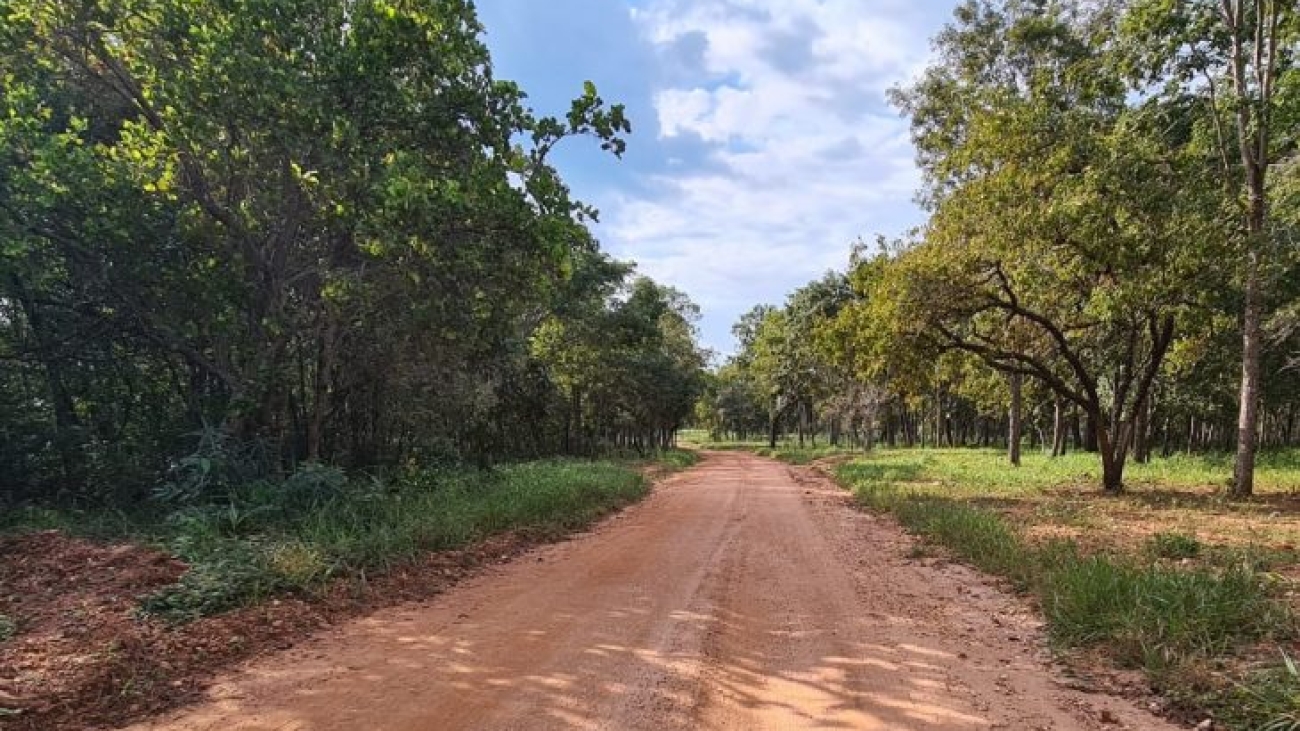 estrada-bonito-01-730x480