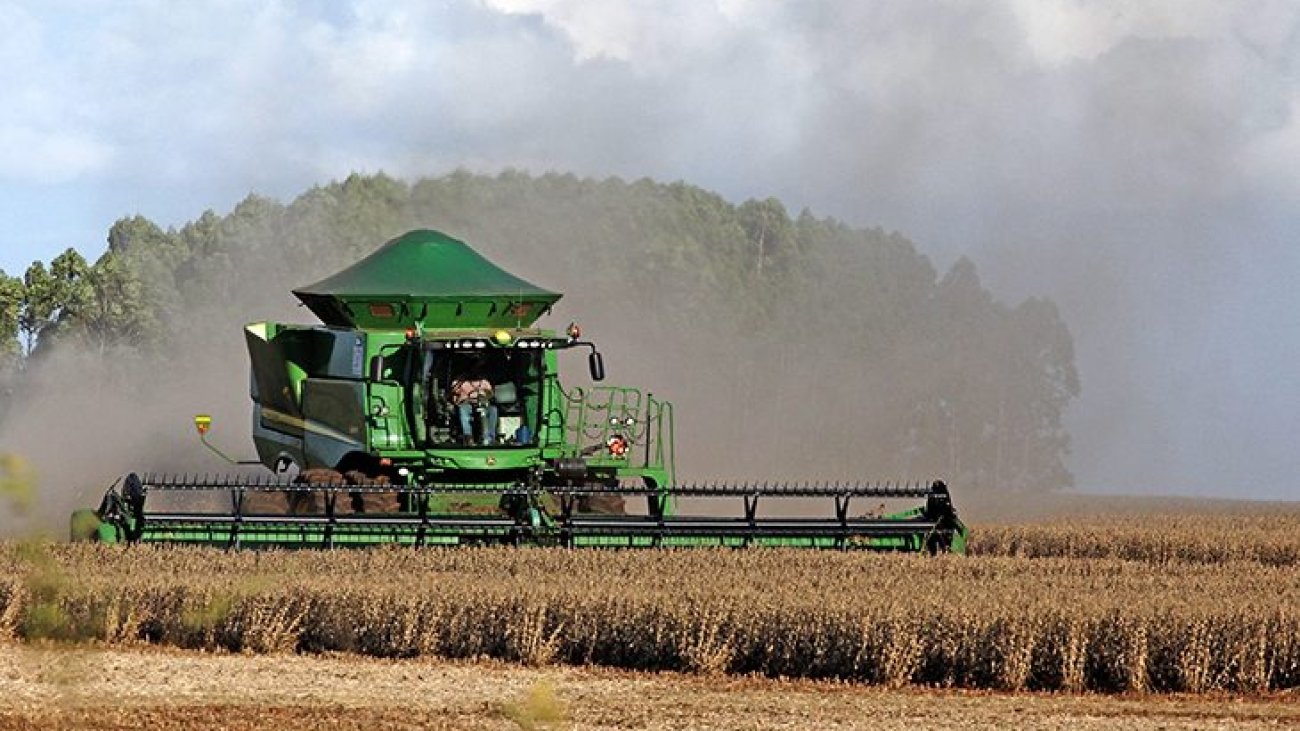 Agricultura-Colheita-Fto-Chico-Ribeiro-37-730x425