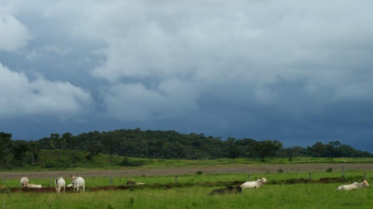 Tempo-Fto-Bruno-Rezende-03-730x480-1