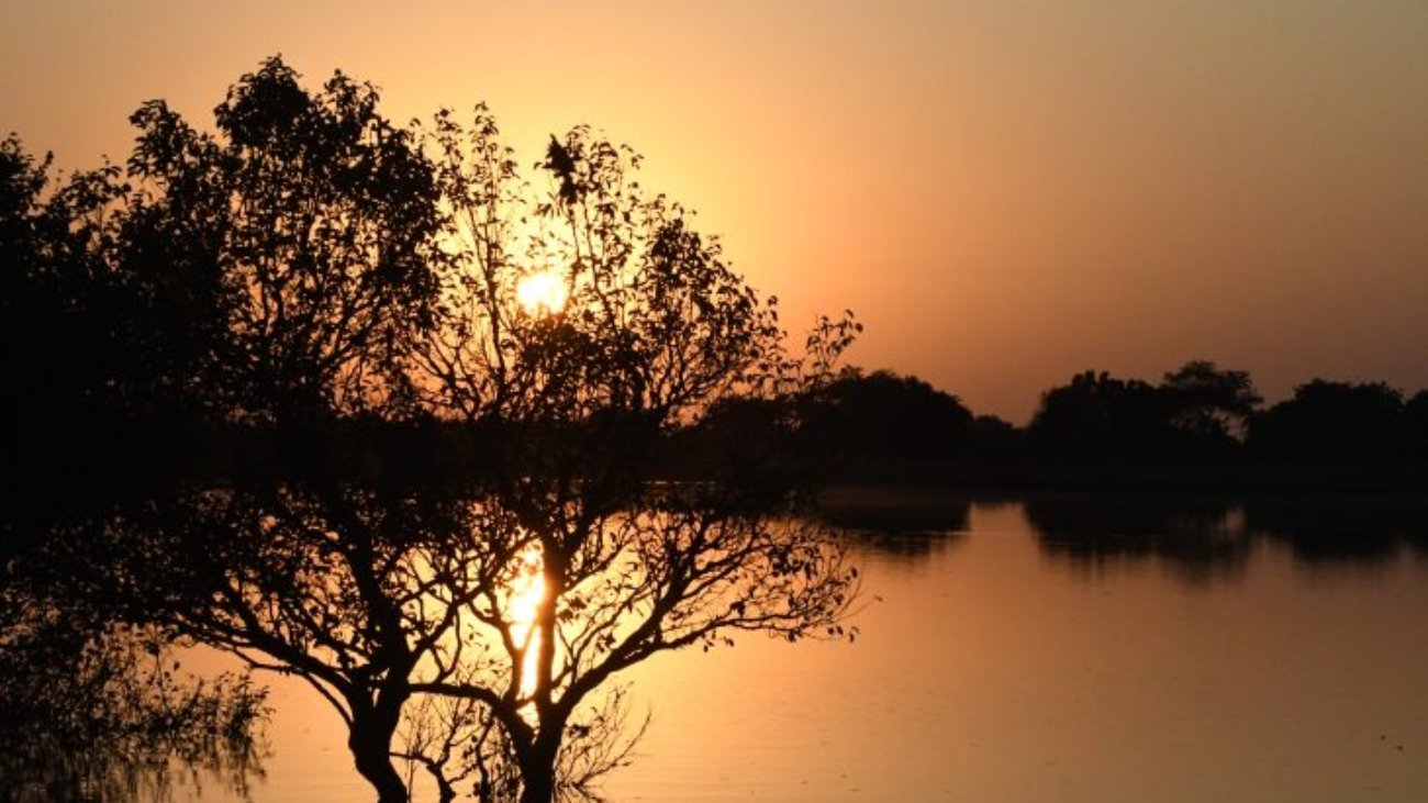 Pantanal-Tempo-Foto-Bruno-Rezende-18-730x480-1