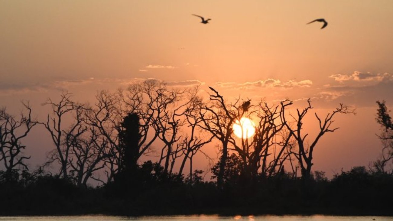 Pantanal-Tempo-Foto-Bruno-Rezende-15-730x480-1