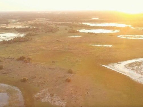 Parque-Estadual-do-Pantanal-do-Rio-Negro-3-730x480-1