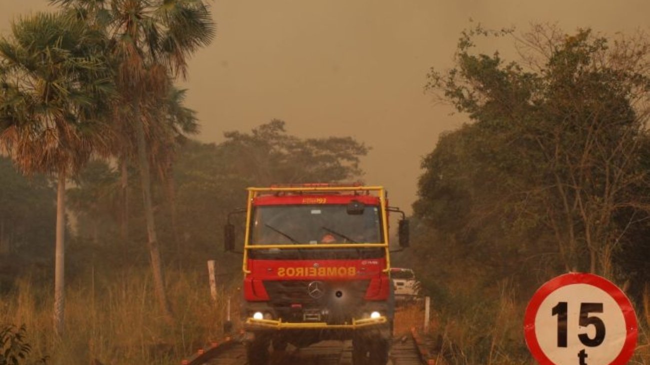 Operacao-Pantanal-Foto-Alvaro-Rezende-7-730x480