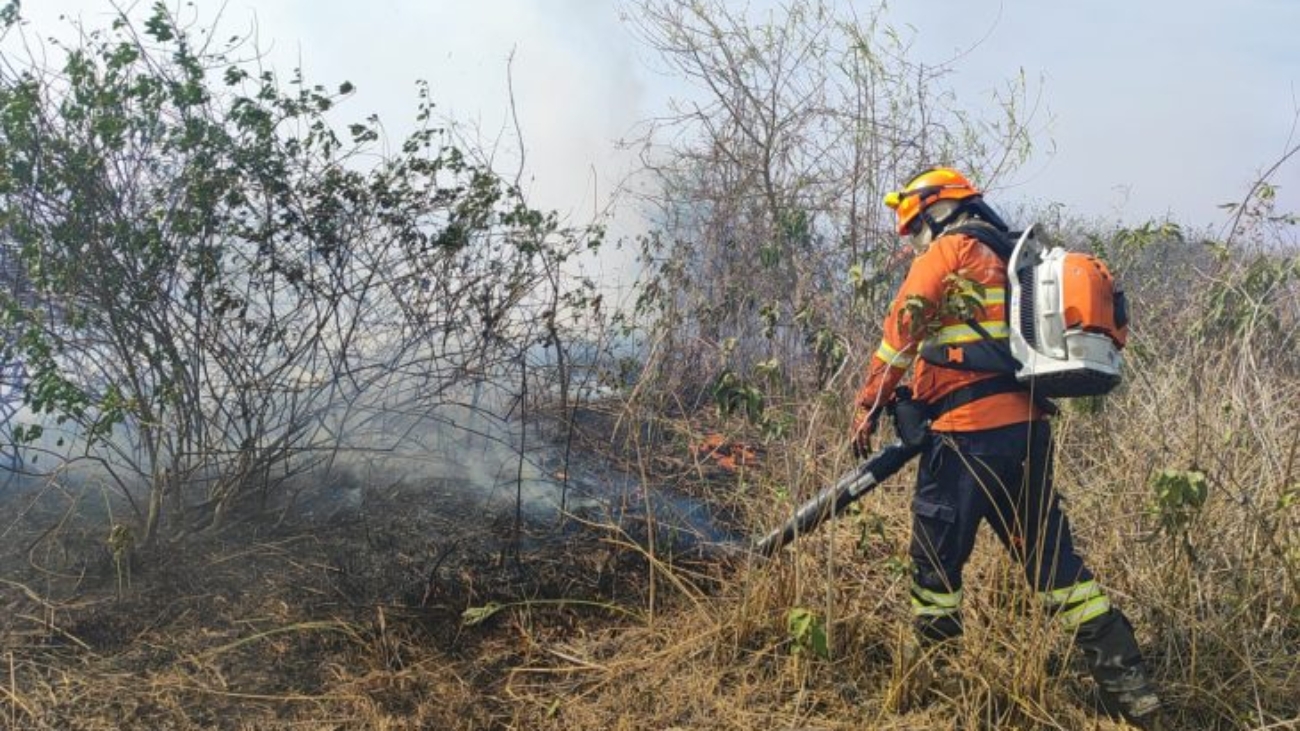 Pantanal_rescaldo-e-combate6_13-de-agosto-2024_CBMMS-e1723643956290-730x480