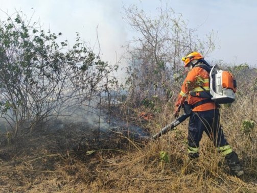 Pantanal_rescaldo-e-combate6_13-de-agosto-2024_CBMMS-e1723643956290-730x480