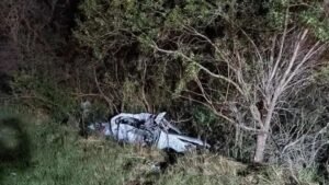 Acidente na BR-293 envolvendo carro, capivara e carreta em Dom Pedrito