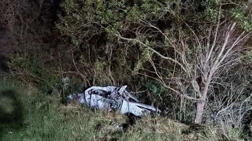Acidente na BR-293 envolvendo carro, capivara e carreta em Dom Pedrito
