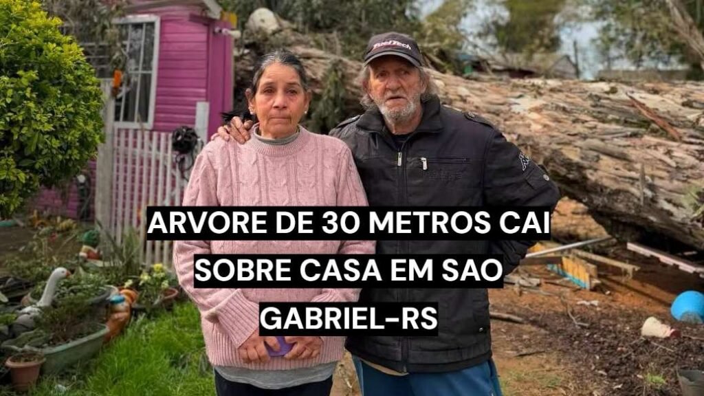 Árvore de 30 metros cai sobre casa durante vendaval em São Gabriel