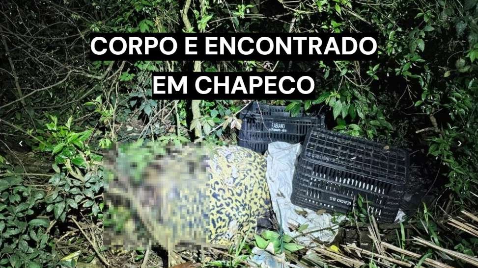 Polícia Civil investiga corpo de desaparecido em Chapecó