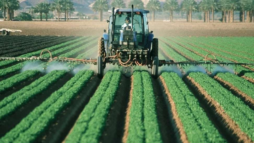 Vinhedos afetados pela deriva de herbicidas no Rio Grande do Sul