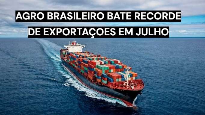 Exportações do agronegócio brasileiro batem recorde em julho