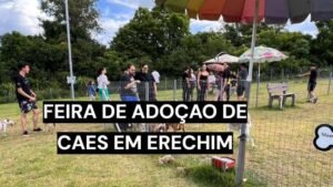 Feira de Adoção de Cães acontece neste sábado em Erechim