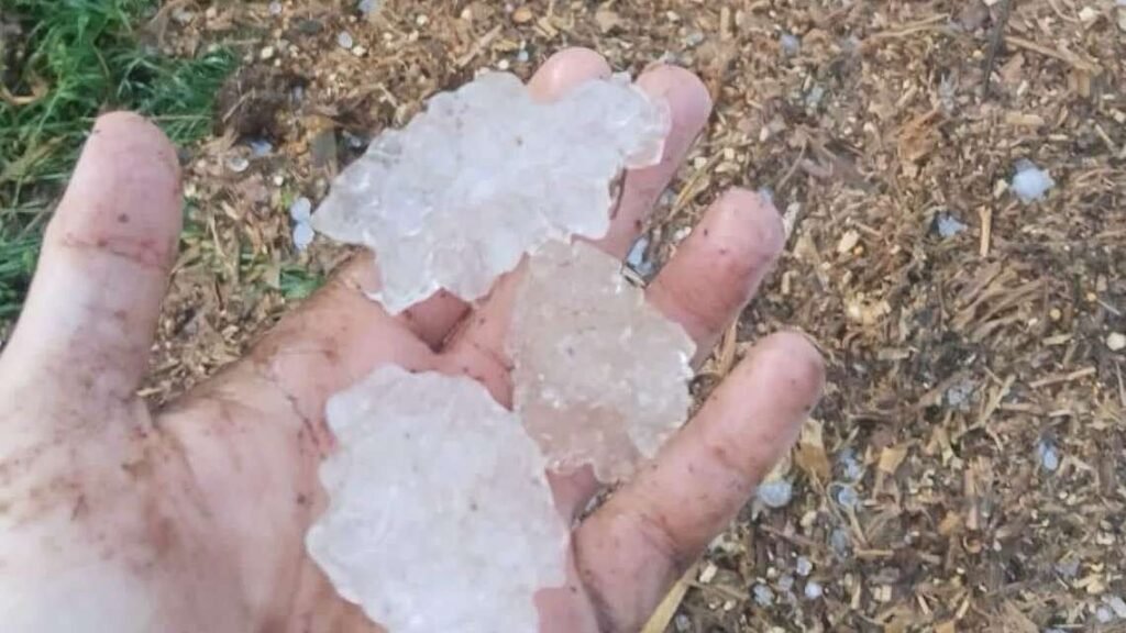 Granizo e vento forte atingem comunidades do interior de Princesa, em Santa Catarina