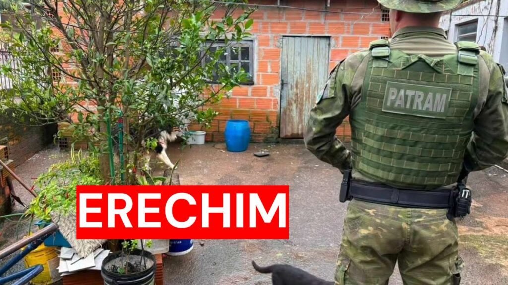 Fiscalização apura denúncias de maus-tratos contra cães em Erechim