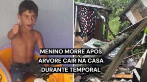 Menino de 8 anos morre após árvore cair sobre casa em Porto Alegre