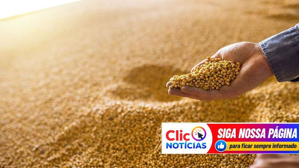 Safra de grãos 2025/26 deve alcançar 360,8 milhões de toneladas, segundo a Conab