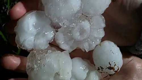 Estragos causados por tempestade de granizo em Três Palmeiras