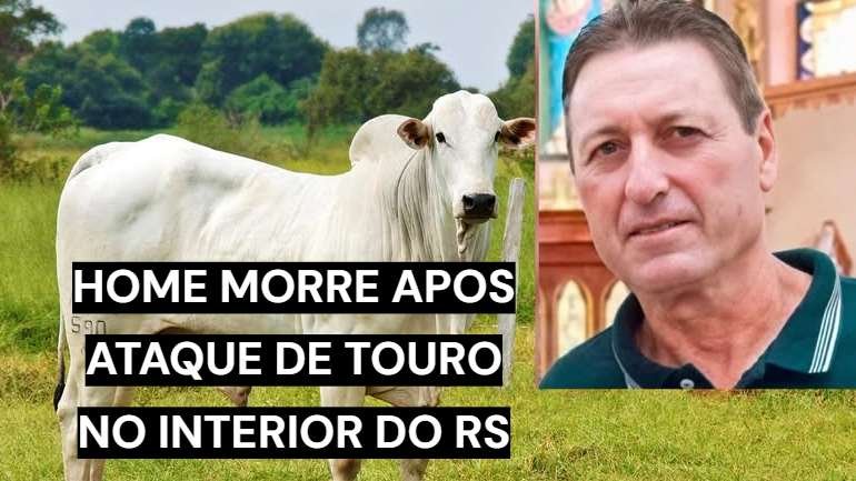 Touro mata homem de 62 anos em propriedade rural de Doutor Ricardo