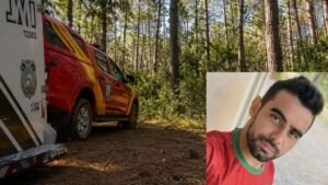 Trabalhador morre após ser atingido por árvore durante corte de pinus no Paraná
