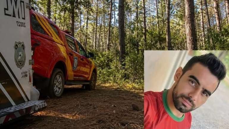 Trabalhador morre após ser atingido por árvore durante corte de pinus no Paraná