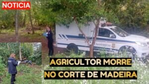 Homem de 74 anos morre atingido por árvore em Abelardo Luz