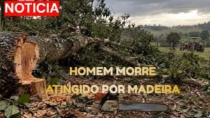 Trabalhador morre atingido por árvore durante corte em Reserva