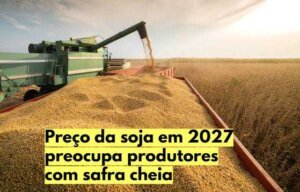 lavoura de soja em desenvolvimento representa a expectativa de uma grande safra em 2026/27.