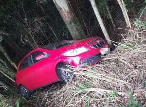 Chevrolet Onix após sair da pista e colidir contra uma árvore na ERS-135, no km 75, em Erechim; acidente não deixou feridos.