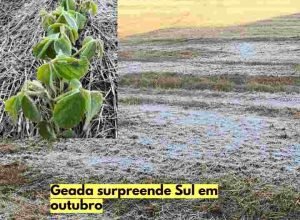 Foto Redes Sociais