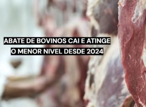 Abate de bovinos no Brasil registra queda de 21,6% em julho de 2026.