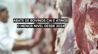 Abate de bovinos no Brasil registra queda de 21,6% em julho de 2026.