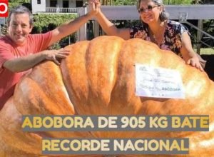 abobora-905-quilos-recorde-nacional.jpg