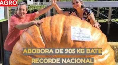 abobora-905-quilos-recorde-nacional.jpg
