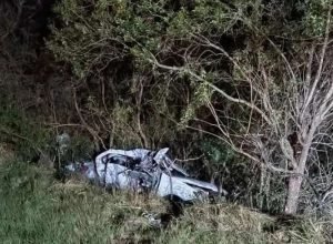 Acidente na BR-293 envolvendo carro, capivara e carreta em Dom Pedrito