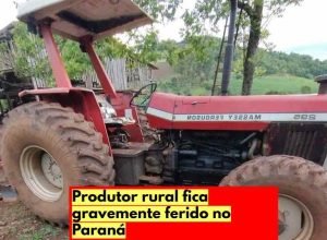 Foto Divulgaçao