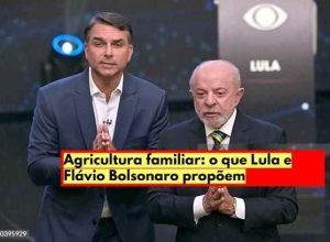 A agricultura familiar tem papel importante no abastecimento de alimentos e na segurança alimentar do país.