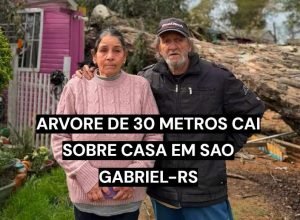 Árvore de 30 metros cai sobre casa durante vendaval em São Gabriel
