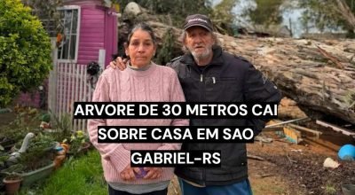 Árvore de 30 metros cai sobre casa durante vendaval em São Gabriel