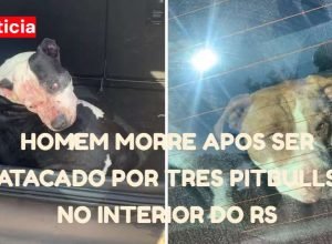 Foto: Divulgação/Brigada Militar