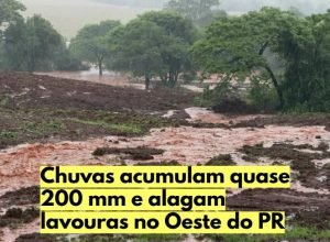 O volume elevado de chuva provocou alagamentos em estradas rurais e áreas agrícolas de Mercedes, no Oeste do Paraná.