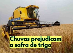Foto Gilson Abreu/AEN