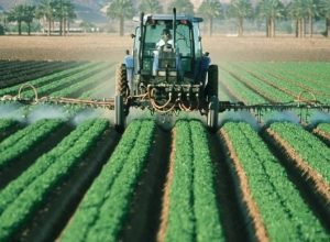 Vinhedos afetados pela deriva de herbicidas no Rio Grande do Sul
