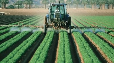 Vinhedos afetados pela deriva de herbicidas no Rio Grande do Sul